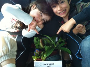 Kids and their carnivorous plants