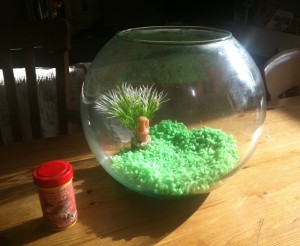 A fishbowl for the tadpoles