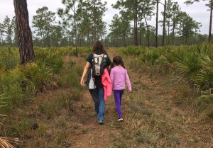 Hiking in the Hal Scott Preserve near Orlando