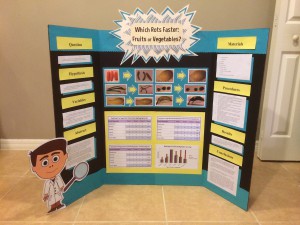 Middle school science project display