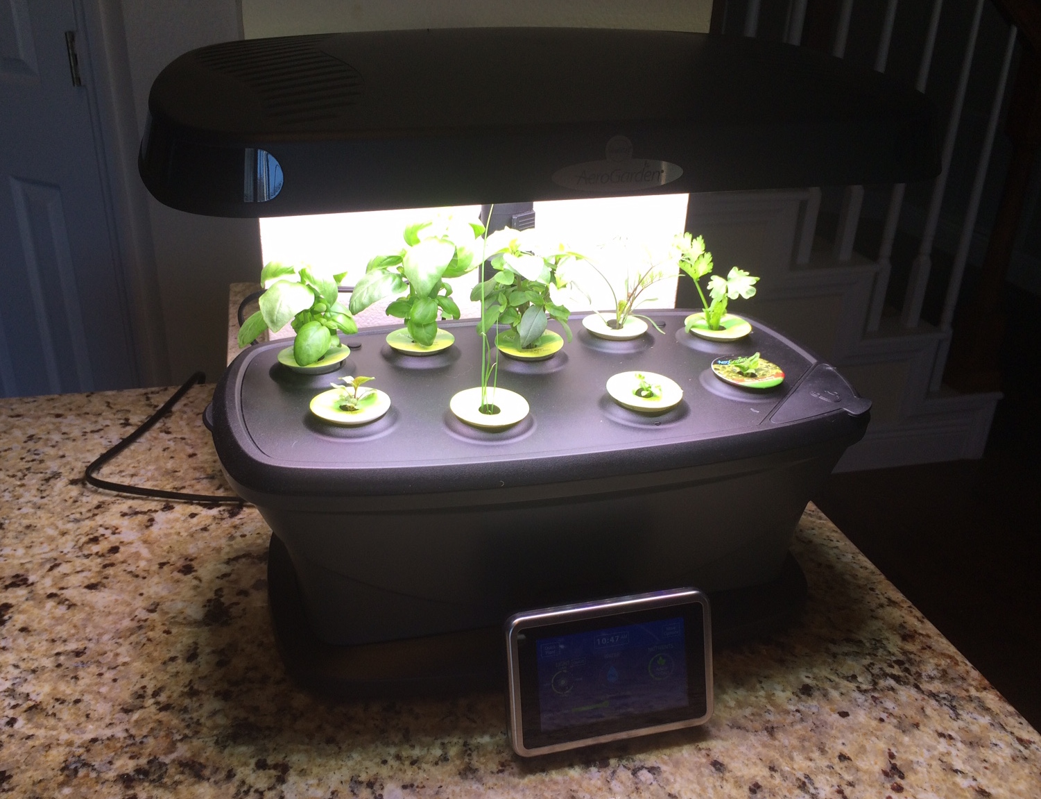 Indoor gardening with an AeroGarden