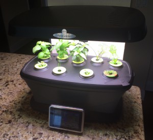 AeroGarden Bounty