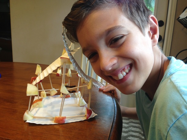 Apple Schoolhouse STEM Challenge – The Planning Stage