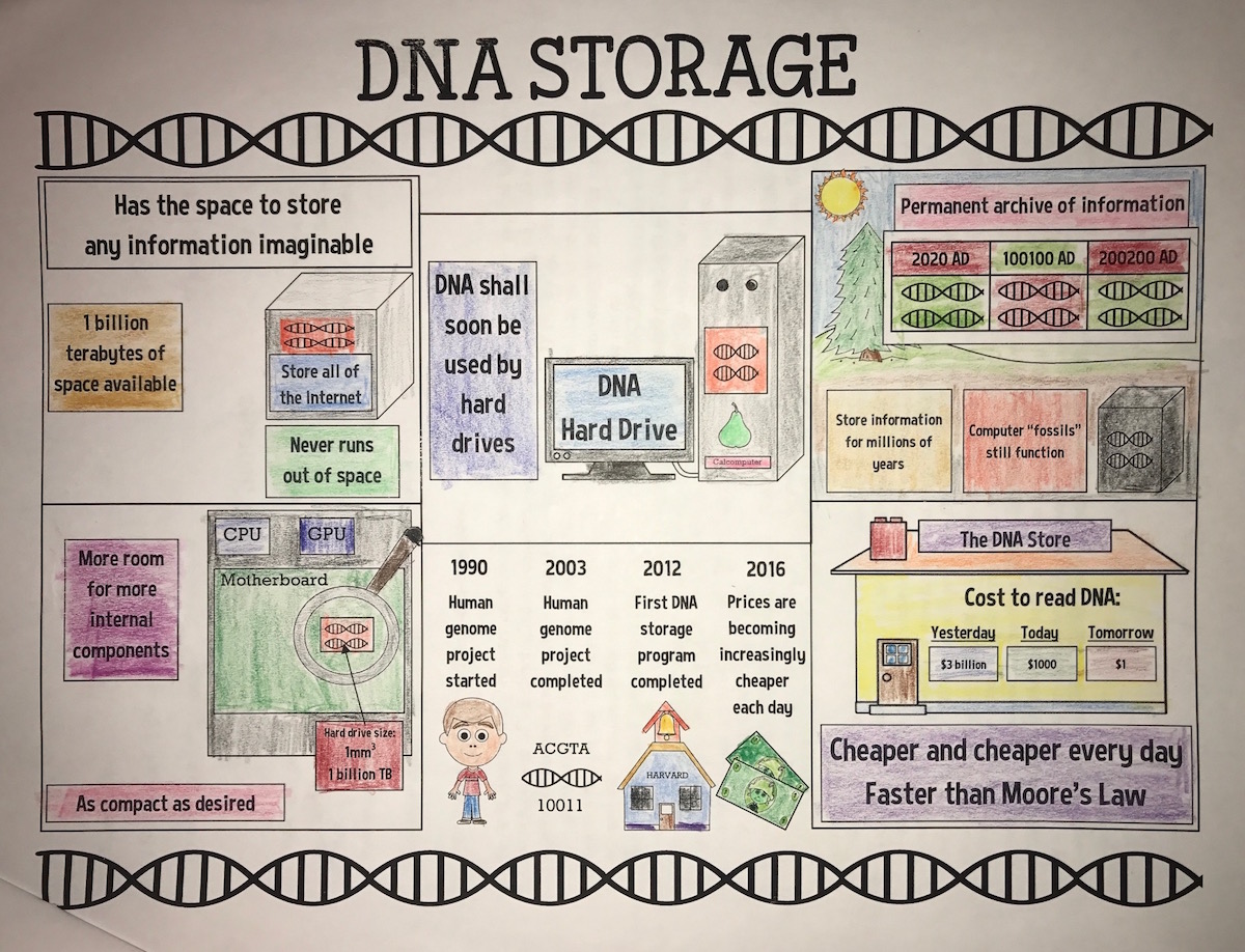 Making an infographic